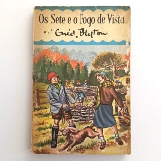OS SETE E O FOGO DE VISTA - Enid Blyton  #11